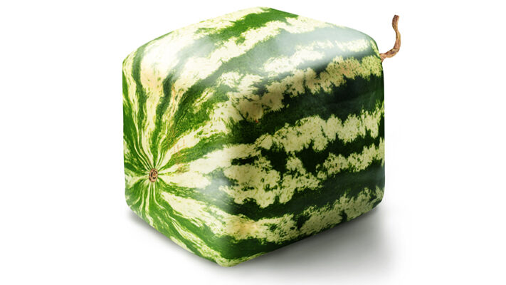 Rond of vierkant Dreamstime 20561689