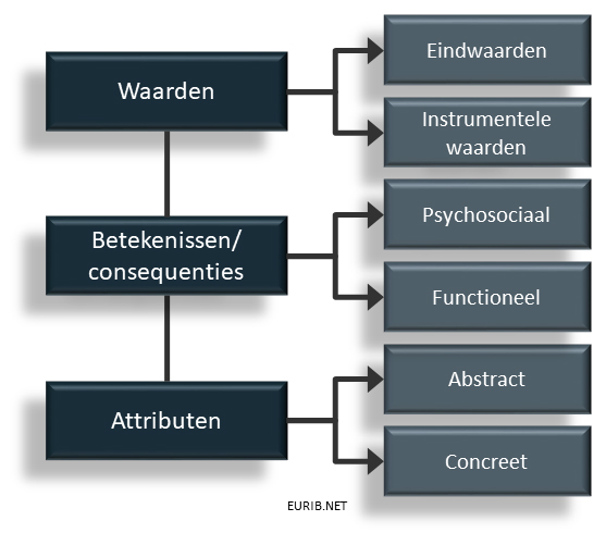 betekenisstructuuranalyse-bsa-van-reynolds-en-gutman-figuur-1