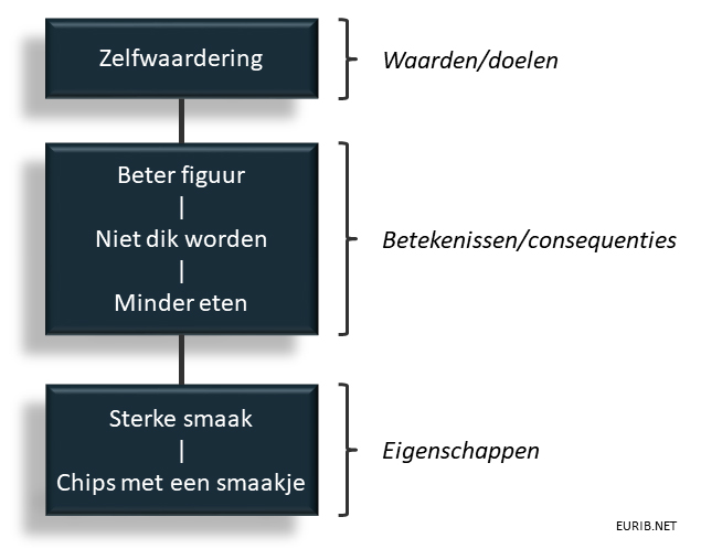 betekenisstructuuranalyse-bsa-van-reynolds-en-gutman-figuur-2