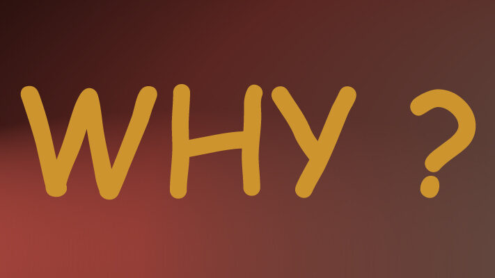 ‘Start with why’ (boek) © EURIB