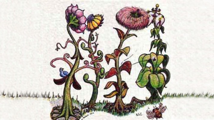 subliminale waarneming