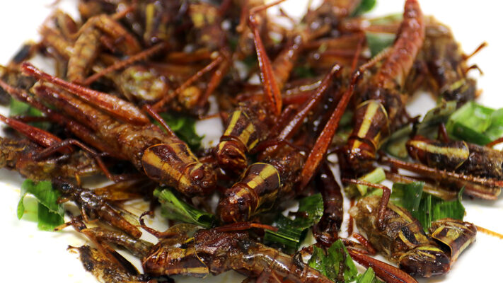 Mmm… sprinkhanen Shutterstock 619894238