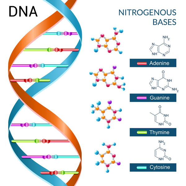 DNA string